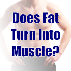 So, does fat turn into muscle or not?