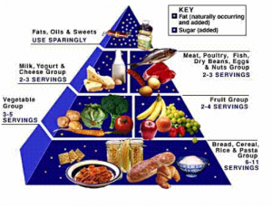 The new food pyramid.